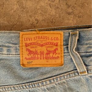 Blue Levi Jean Shorts